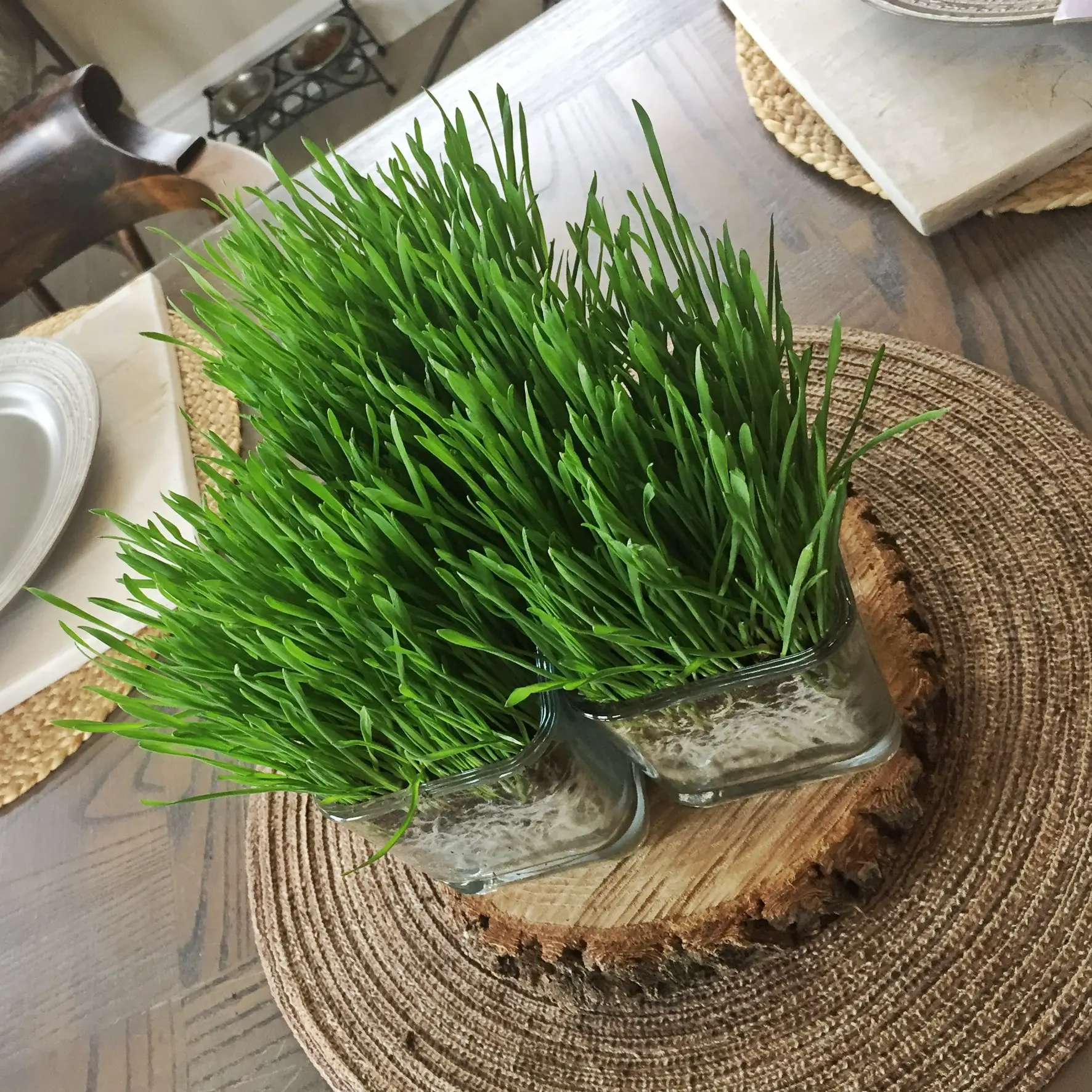 How to make a spring tablescape using wheat grass
